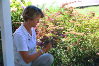 Myrtle Beach Landscaping